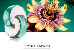 Nước hoa nữ BVLGARI Omnia 40ml