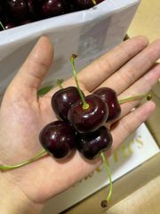 Cherry New Zealand 45 South VIP 2024 Size 28+ Hộp 1kg