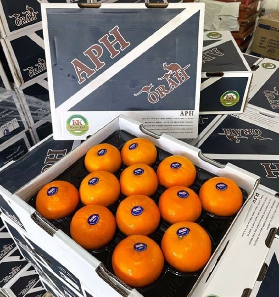 Quýt Vip khay 2PH size 24 Vip Thùng 4.5kg