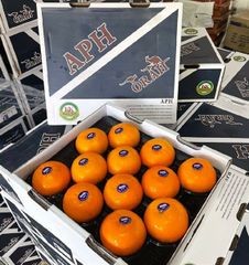 Quýt Vip khay 2PH size 24 Vip Thùng 4.5kg