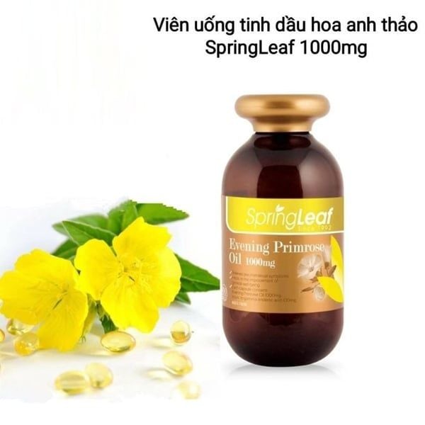 Tinh dầu hoa anh thảo Spring Leaf Evening Primrose Oil 1000mg của Úc 180 viên