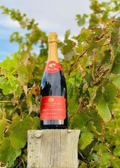Nước Nho Ép Nguyên Chất Có Gas Chai Đỏ Sparkling Dark Grape Maison Blue 750ml