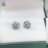  E914 Bông tai hoa mai 