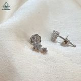  E003 Bông tai xước sao 