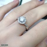  RX209 FULLMOIS 6.5mm 