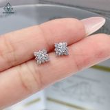  E882 Bông tai vuông 