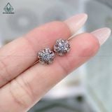  E914 Bông tai hoa mai 