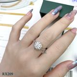  RX209 FULLMOIS 6.5mm 