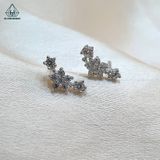  E003 Bông tai xước sao 