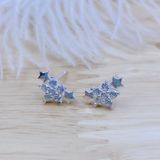  E889 Bông tai hoa sao 