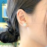  EX316 5mm Bông tai hoa cánh nhọn 