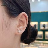  E995 Bông tai nơ 