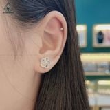  E011 Bông tai hoa 5 cánh 