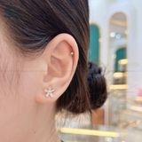  E996 Bông tai hoa 5 cánh 
