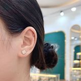  E007 Bông tai cỏ bốn lá 