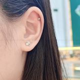  E002 Bông tai cỏ ba lá 