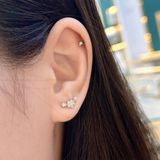  E003 Bông tai xước sao 