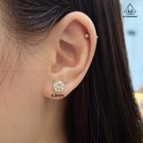  EX003 4-10mm Vỏ 1 chiếc 