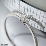  BGX017 FULL MOIS 2mm 