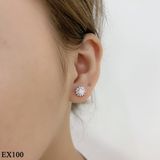  EX100 4.5mm 
