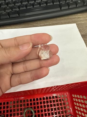 PC027 MẶT HỒ LY TÓC ĐỎ