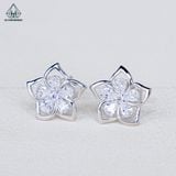  E047 Bông tai hoa 5 cánh 