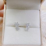  E892 Bông tai hoa đôi 