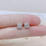  E882 Bông tai vuông 