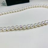  PE019 