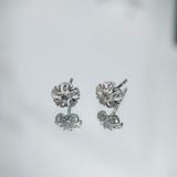  E914 Bông tai hoa mai 