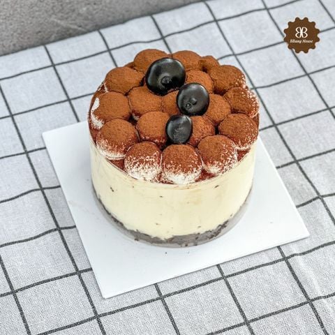  TIRAMISU T08 