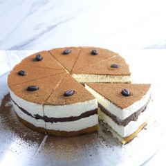 Tiramisu hộp vuông