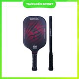  Vợt Pickleball Gamicy Glass Lion 