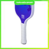  Vợt Pickleball Gamicy Glass Lion 