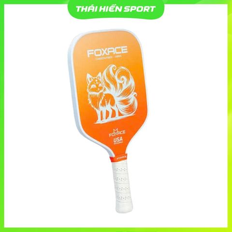  Vợt Pickleball Foxace T300 