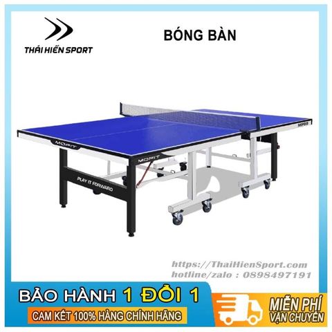  BÀN BÓNG BÀN MOFIT SPORT MP99 