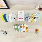  Set 5 Vớ sơ sinh cotton Hinata Nhật Bản V15 