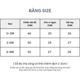  (02Set) Bộ liền dài tay cho bé sơ sinh từ 0-9 tháng BFL012D 