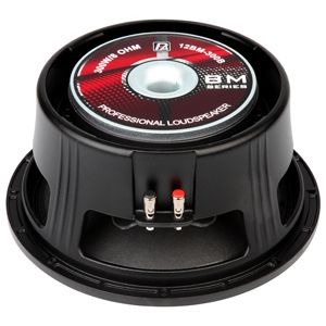  LOA RỜI P.AUDIO 12BM-300B 