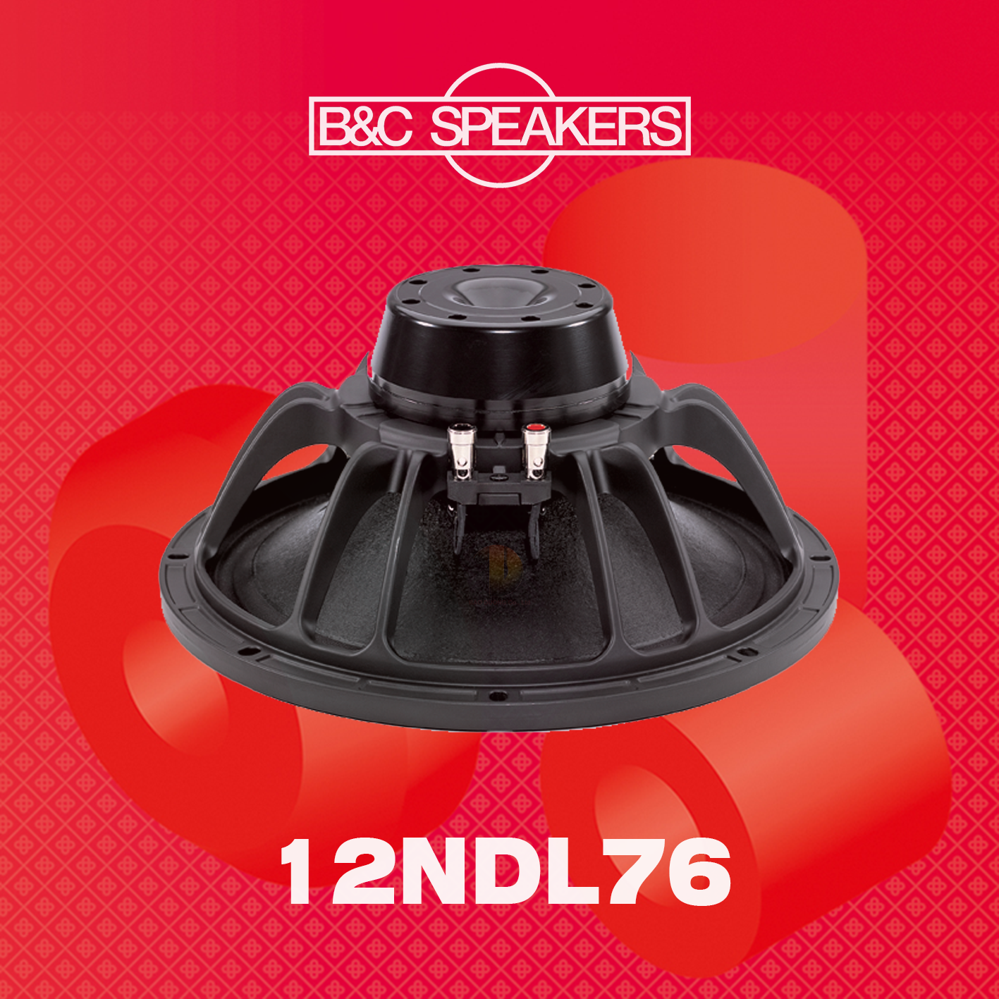  LOA RỜI B&C SPEAKERS 12NDL76 