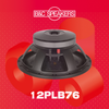  LOA RỜI B&C SPEAKERS 12PLB76 