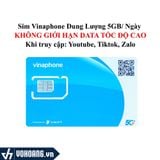  Vinaphone BIG50Y | Sim Data 4G Vinaphone Dung Lượng 5GB/Ngày + Youtube Và TikTok Không Giới Hạn 