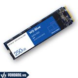  Western Digital Blue M.2 2280 250GB | Ổ Cứng SSD Chuẩn M.2 Cao Cấp 