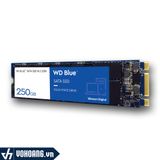  Western Digital Blue M.2 2280 250GB | Ổ Cứng SSD Chuẩn M.2 Cao Cấp 