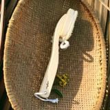  Cây chà gót xơ mướp Vi Lâm (21cm) 