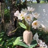  Bình bổ ô (18x28x7cm)- gốm Hiên Vân 