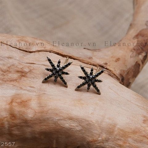  Bông tai - SP002557 