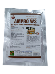 AMPRO WS