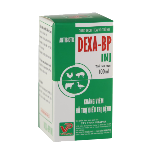 Dexa-BP INJ – VITAPHA