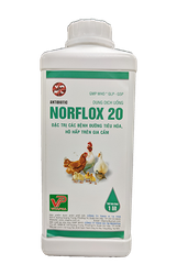 NORFLOX 20